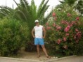 sakal / Stano